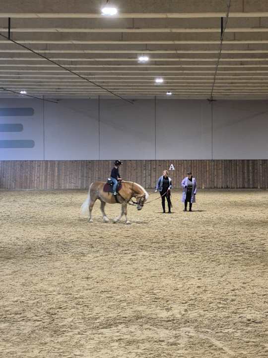 Sonstiges Ellmauhof - das Generationenresort