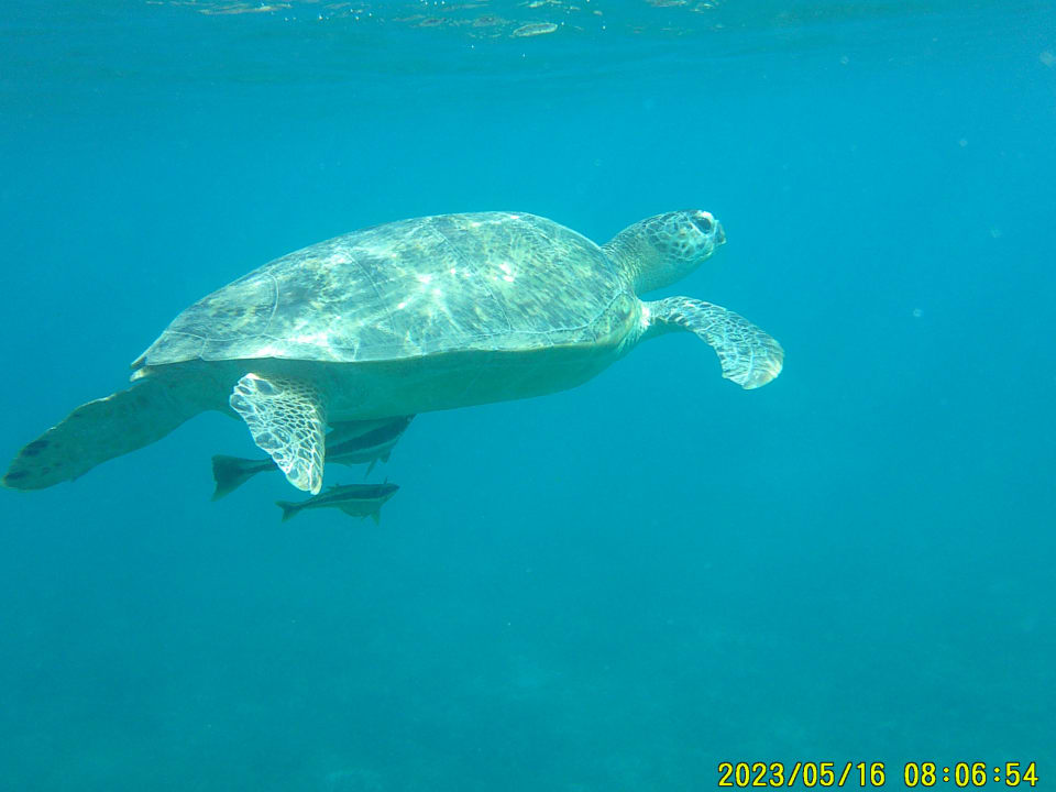 Sport & Freizeit Shams Prestige Abu Soma-Adults Only