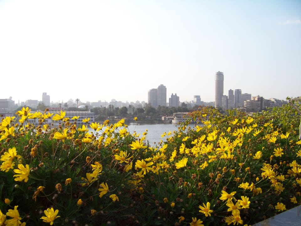 Ausblick Ramses Hilton