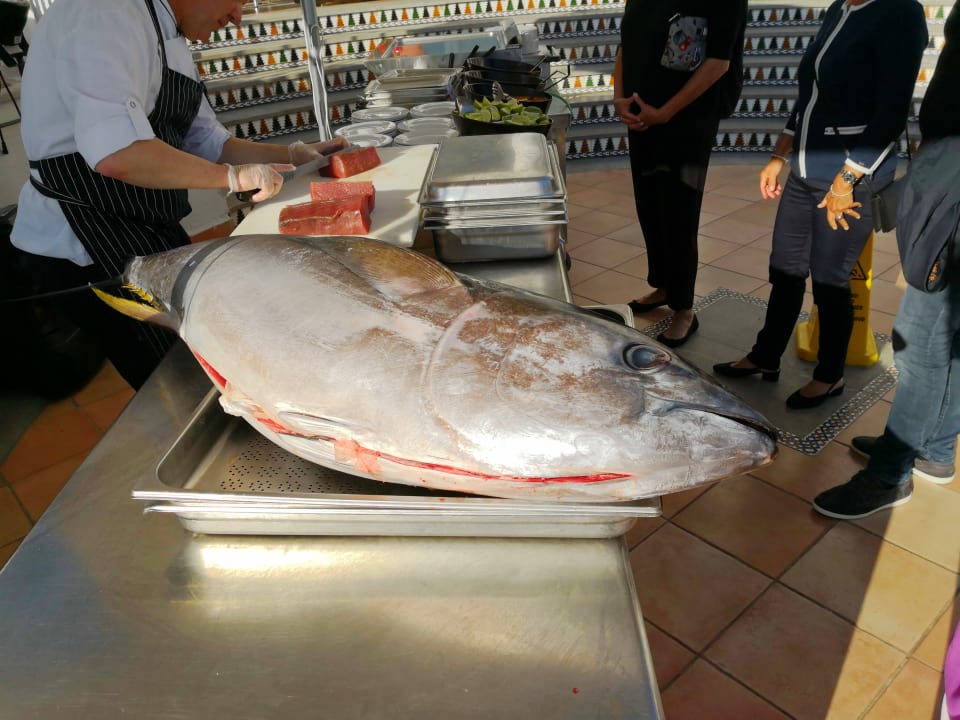 Gastro Aldiana Club Andalusien