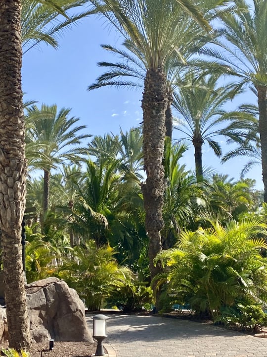 Gartenanlage Lopesan Costa Meloneras, Resort & Spa