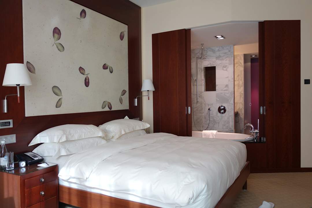 Park Hyatt Zürich Hotel Park Hyatt Zürich