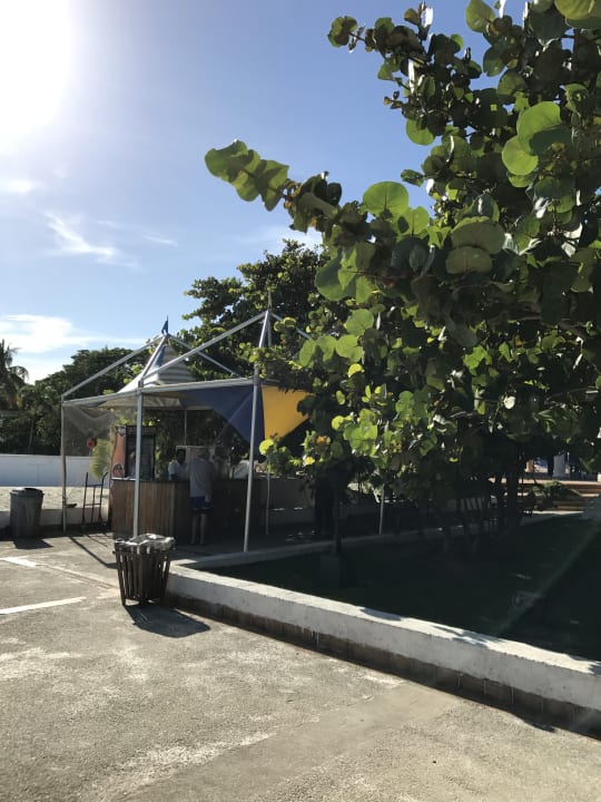 Außenansicht Starfish Cuatro Palmas