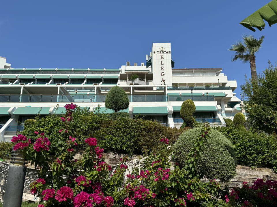 Gartenanlage Side Star Elegance