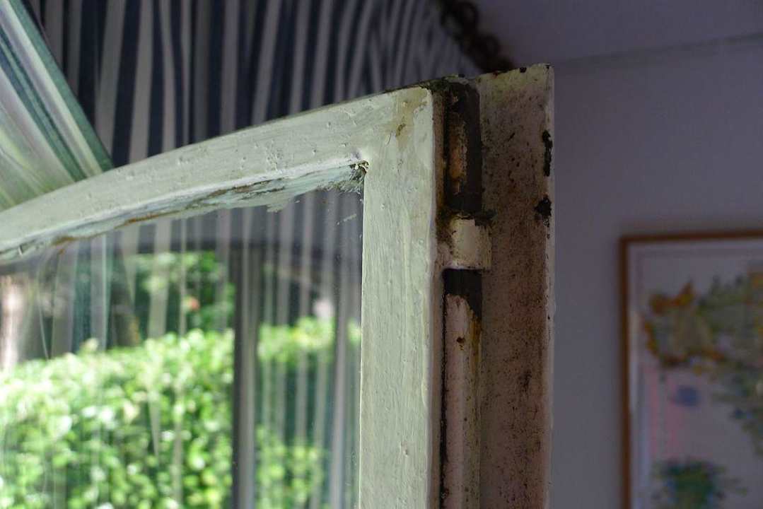 Fenster Dependance Villa Olivo