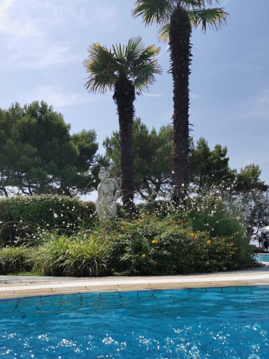 Pool Aparthotel Holiday