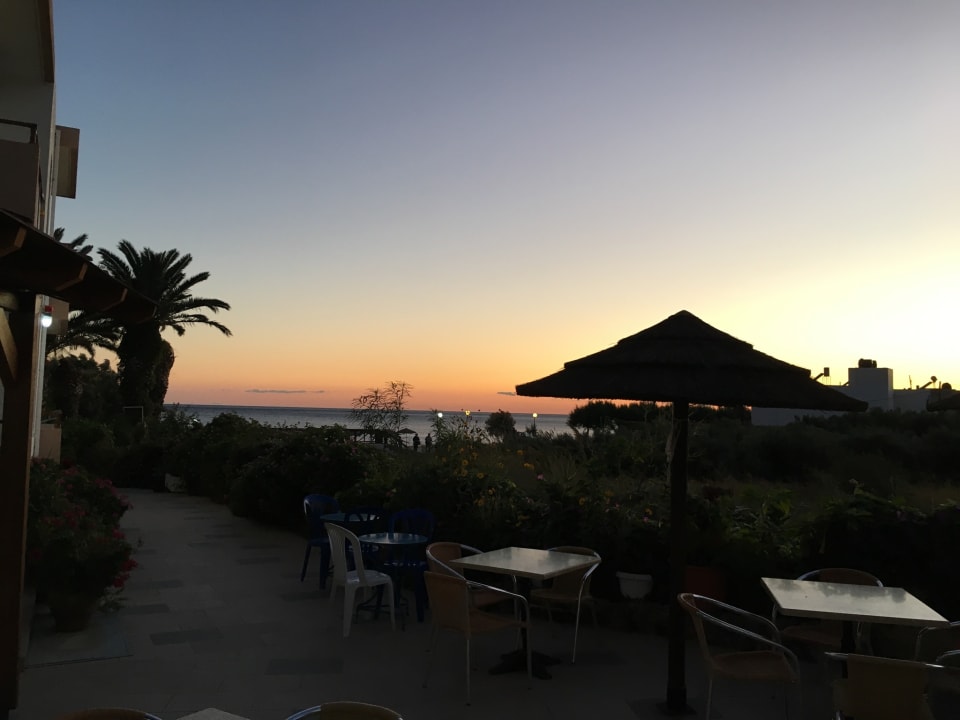 Gartenanlage Hotel South Coast