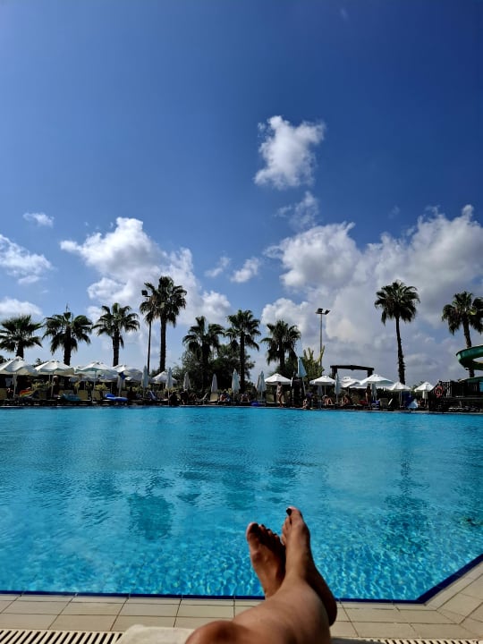 Pool Alba Resort Hotel