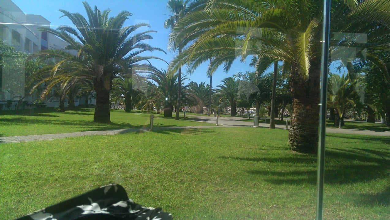 Gartenanlage Hotel Riu Gran Canaria