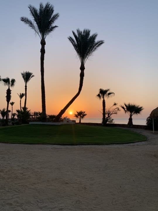 Gartenanlage Steigenberger Coraya Beach - Adults only