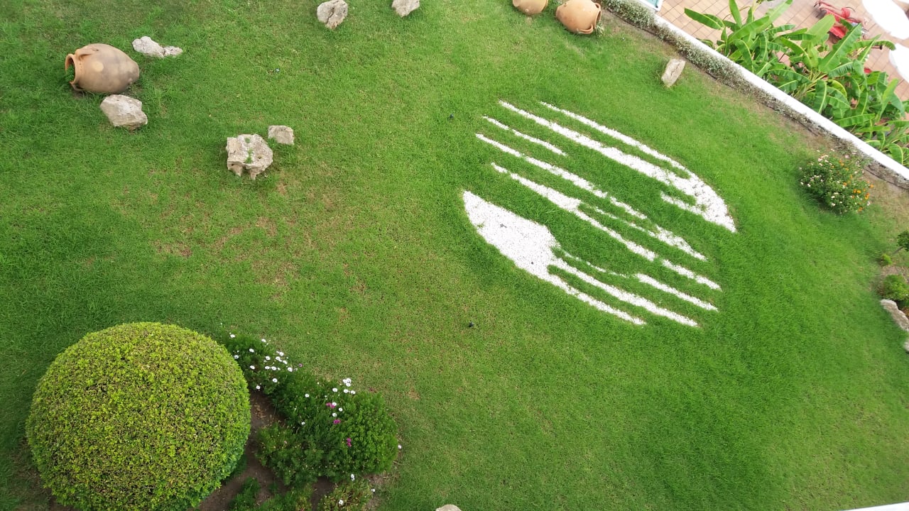 Gartenanlage Hotel Serrano Palace