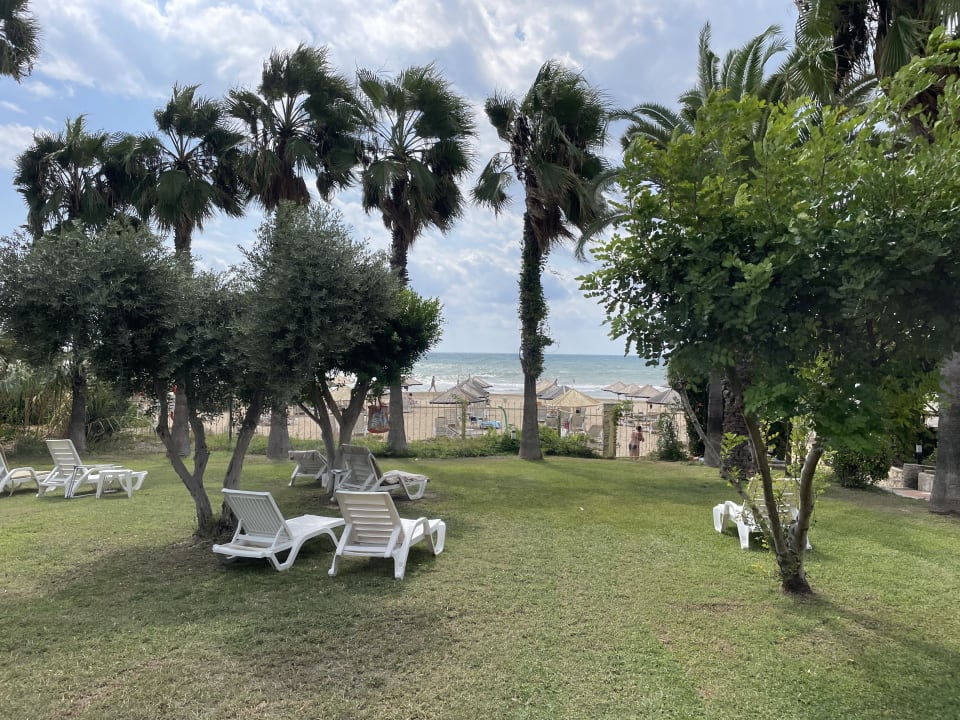 Gartenanlage Hotel Defne Garden