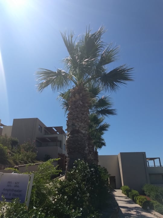 Gartenanlage Atlantica Mikri Poli Crete