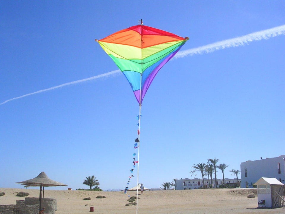 "dragons live for ever " especialy in Gorgonia Hotel Gorgonia Beach Resort