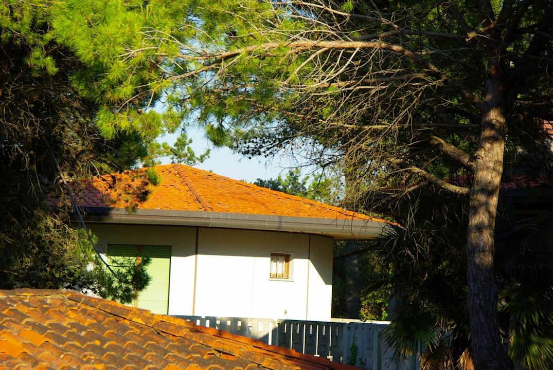 Zu den Nachbargrundstücke Villa Erica