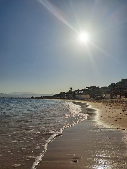 Strand Shams Prestige Abu Soma-Adults Only