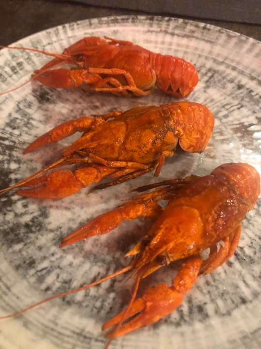 Gastro Megasaray Club Belek