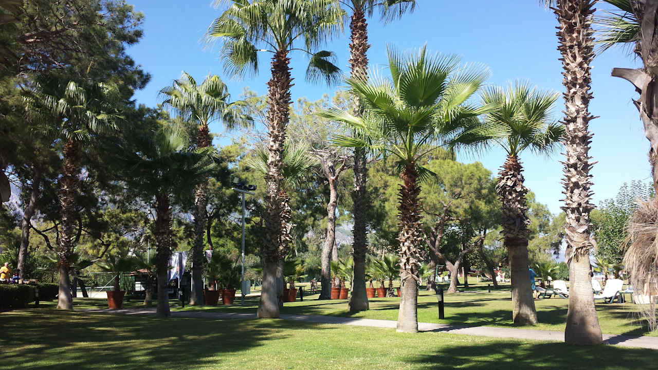 Blick in den weitreichenden Garten Balmy Foresta