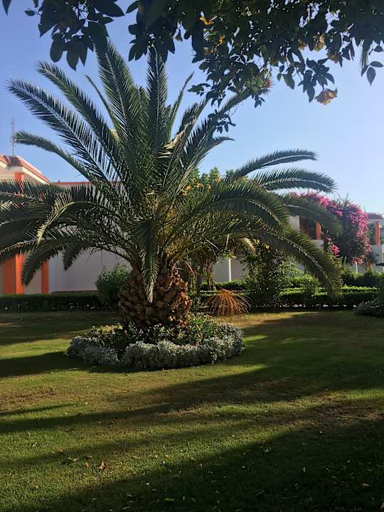 Gartenanlage Fantazia Resort Marsa Alam