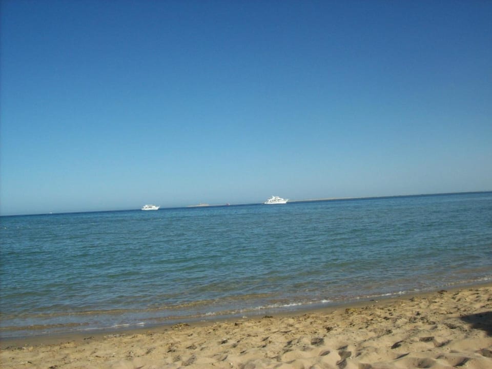 Viel Platz im Wasser Shams Prestige Abu Soma-Adults Only