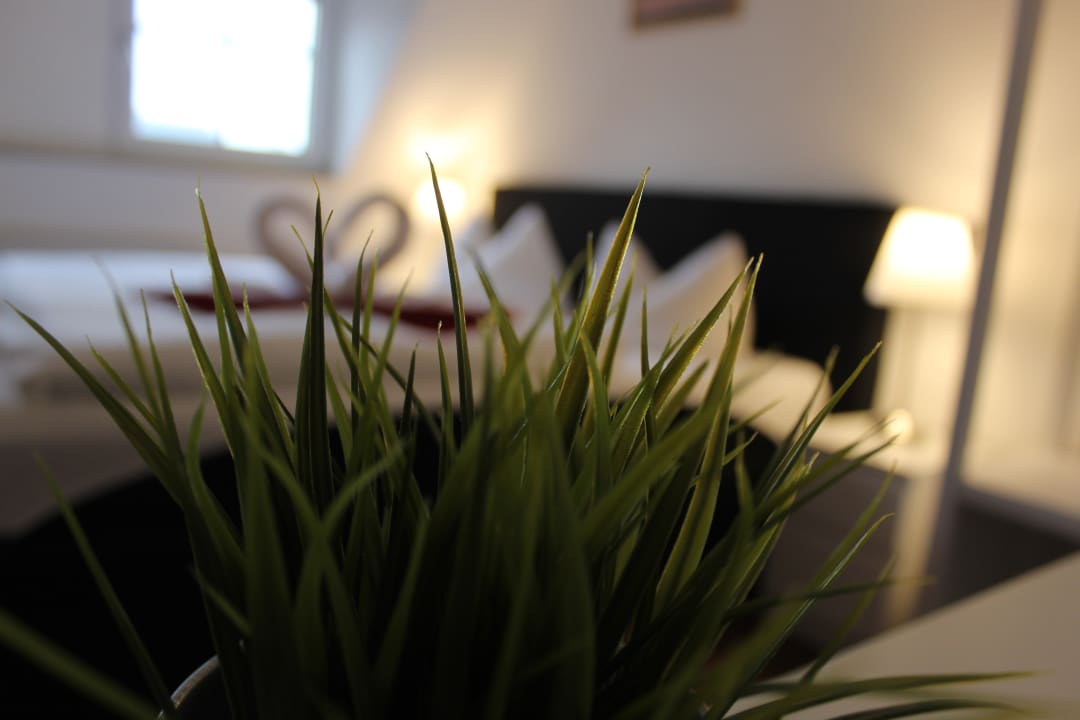 Zimmer Hof von Oldenburg