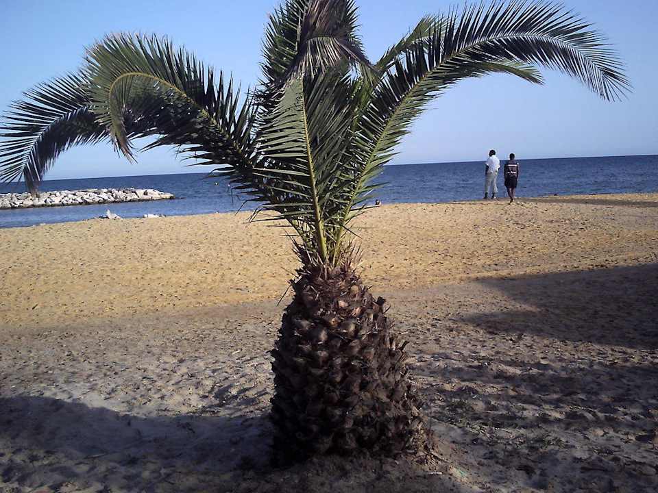 Vor der Tür des Bungalows Royal Lido Resort & Spa