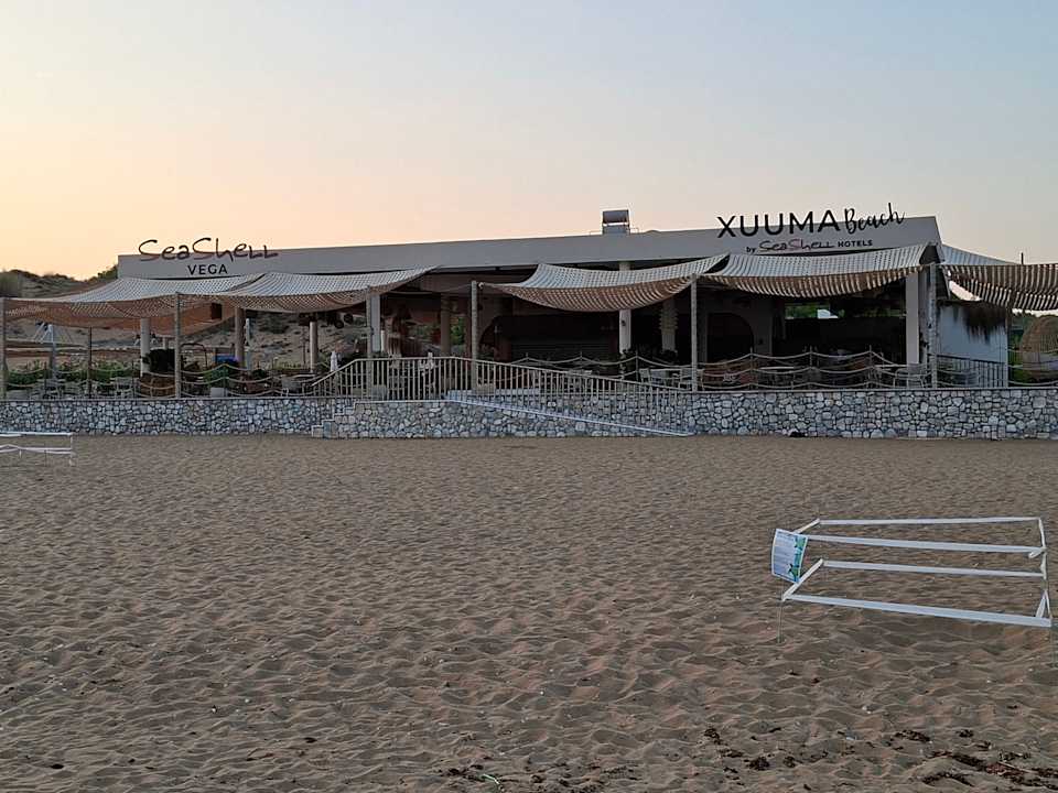 Strand Seashell Vega