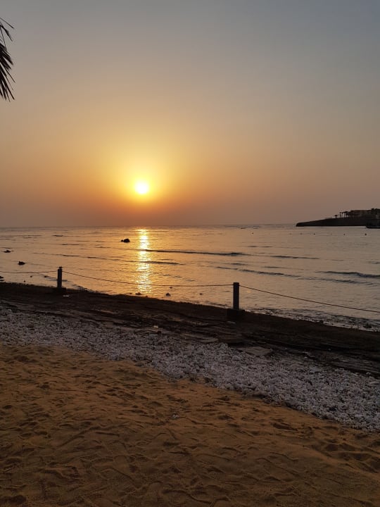 Strand Steigenberger Coraya Beach - Adults only