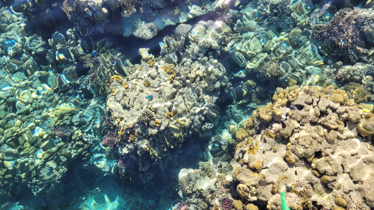 Sport & Freizeit Grand Makadi