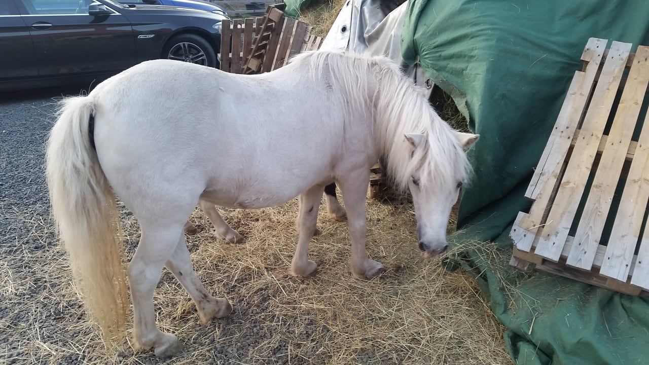 Sonstiges Burgbauernhof Katzenstein