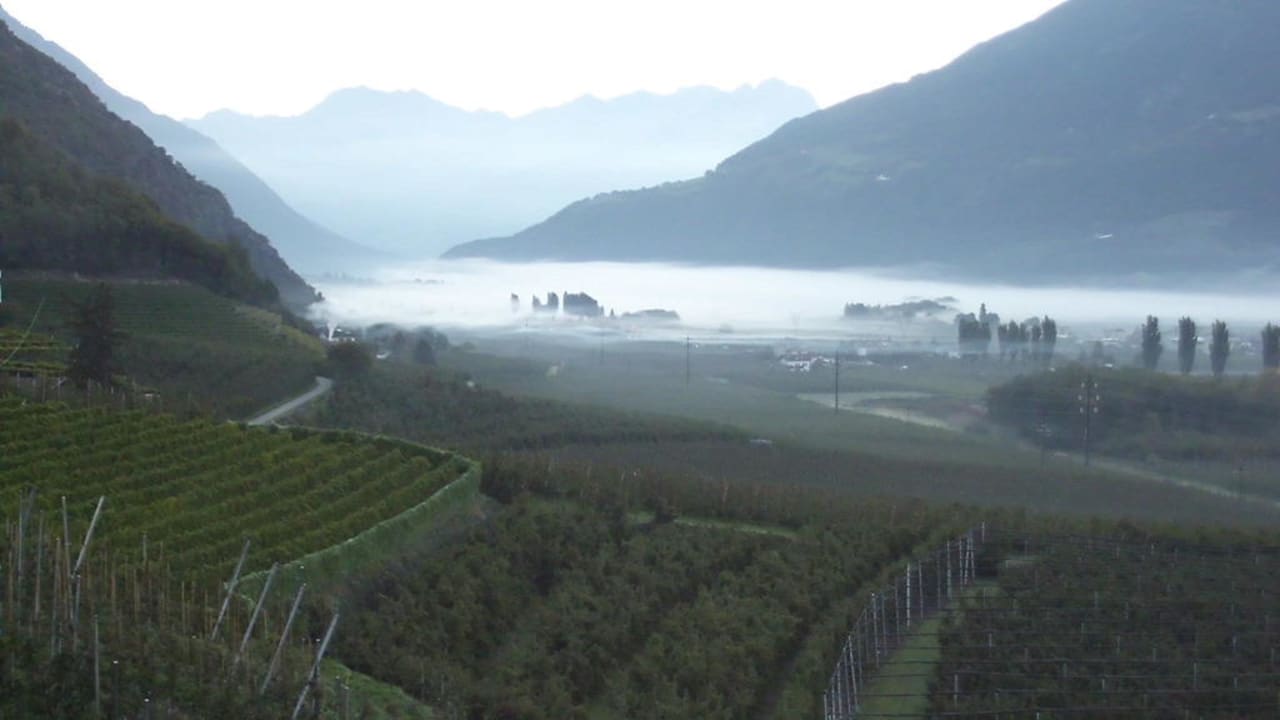 Morgens um 7 Uhr Oberbrunnhof Ferienwohnungen