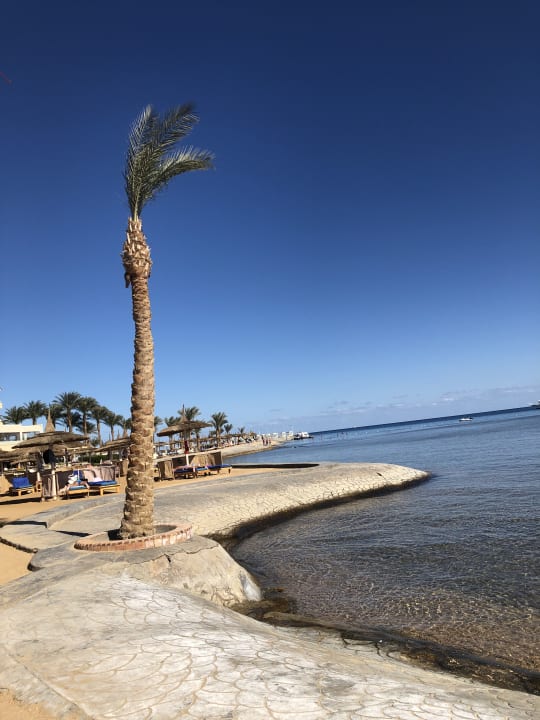 Strand Pickalbatros Palace Resort