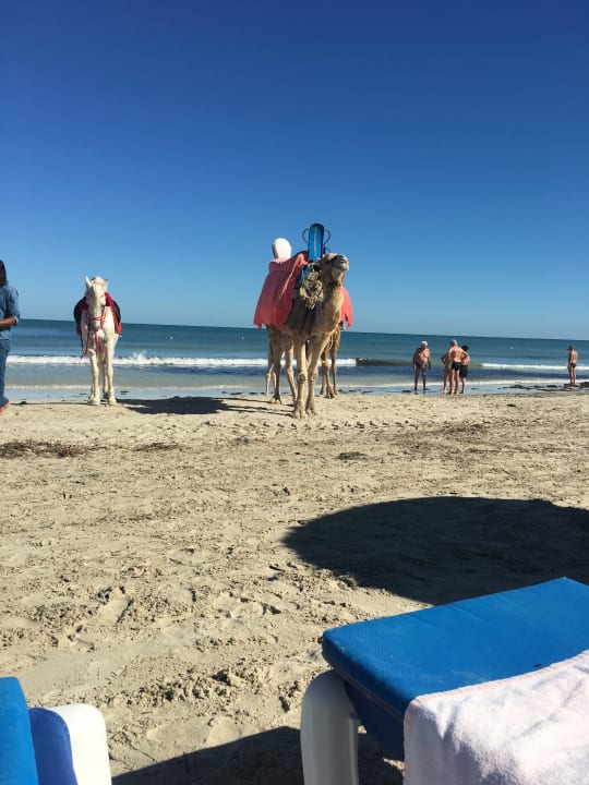 Strand Hotel Royal Garden Palace