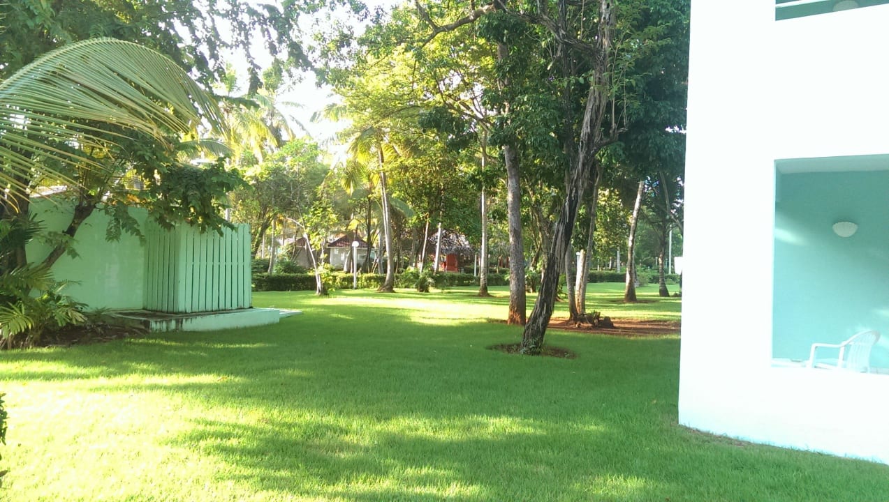 Alles schön grün Wyndham Alltra Samana