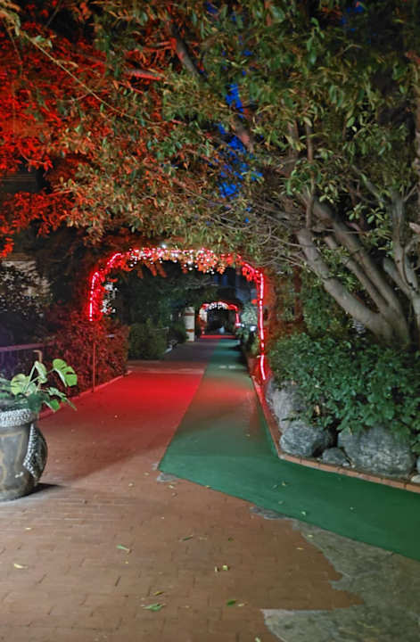 Gartenanlage Hotel Defne Dream