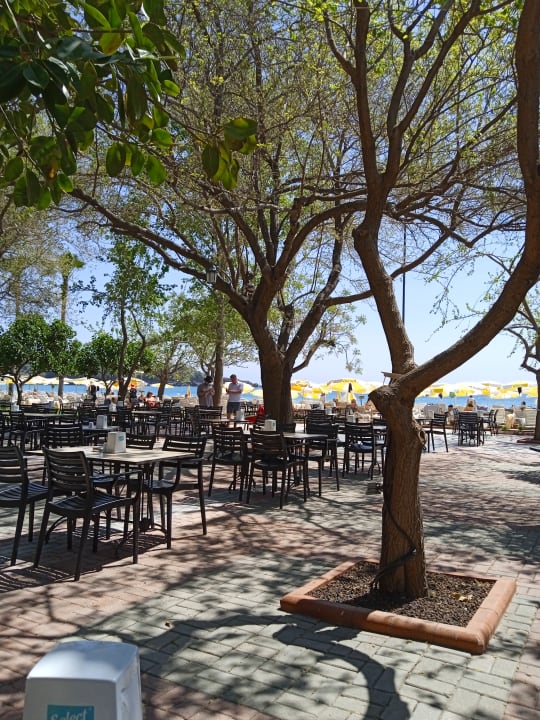 Gastro Hotel Gardenia Beach