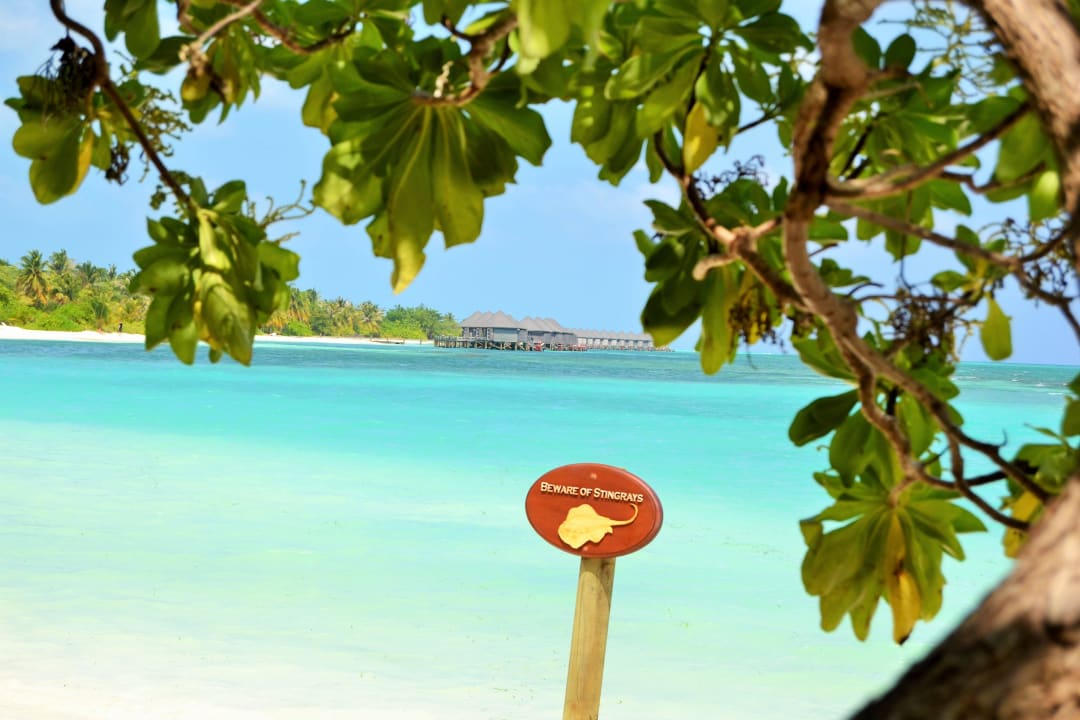 Vor Bungalow 382 Kuredu Island Resort & Spa