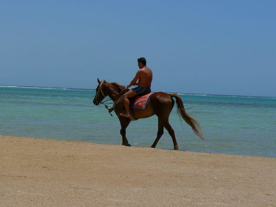 Plaża hotelowa Regency Plaza Aqua Park & Spa