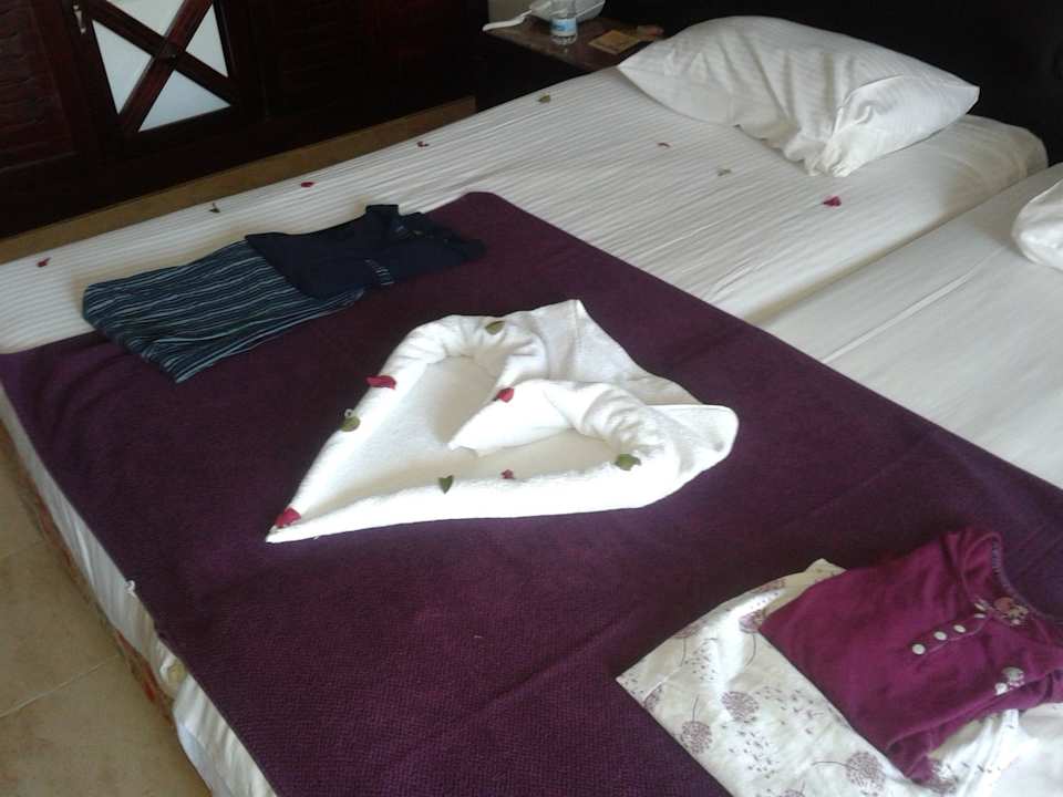 Mit Liebe hergerichtet Beach Albatros Resort