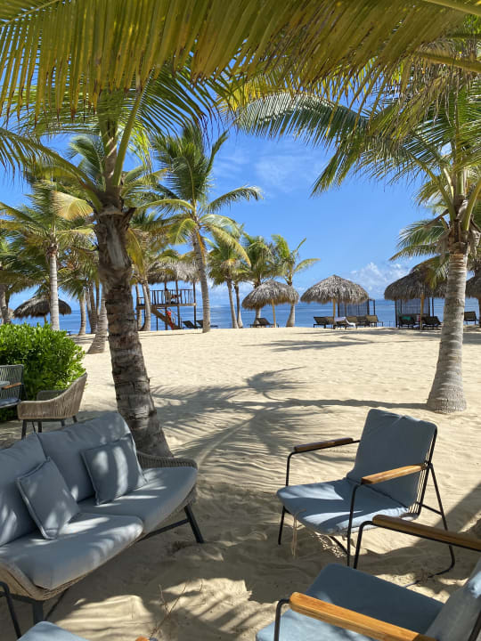 Strand Live Aqua Punta Cana - All Inclusive - Adults Only