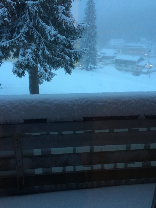 Neuschnee Berggasthof Auerhahn