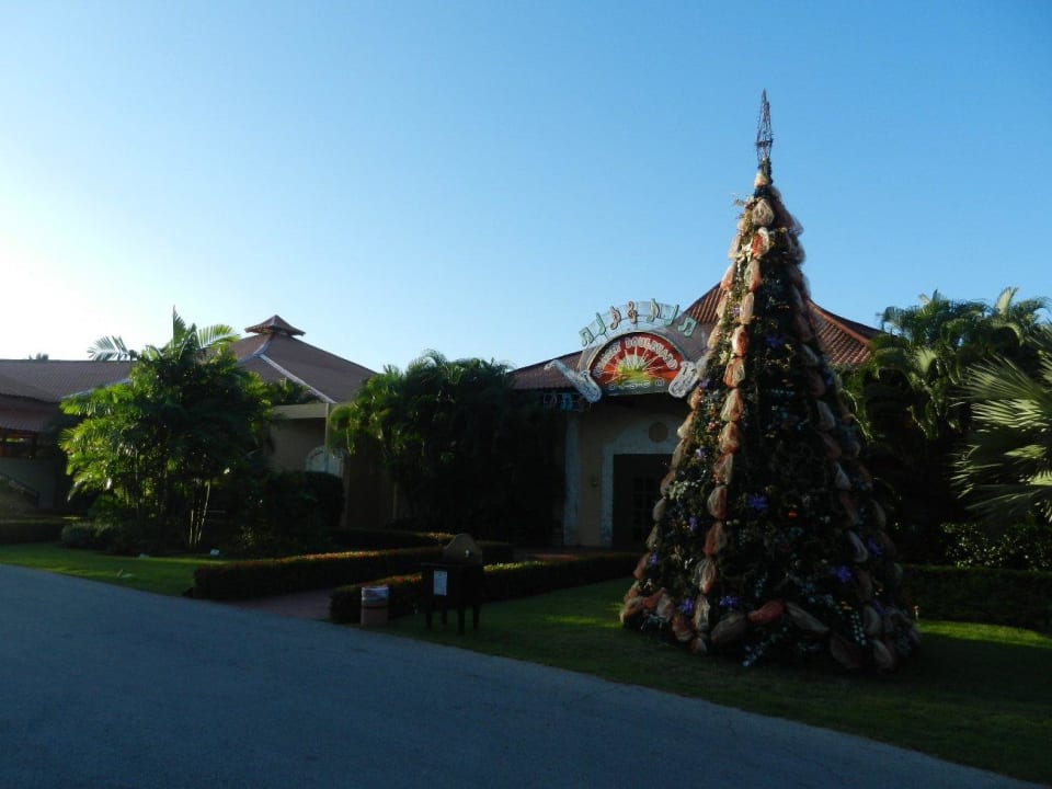 Disco Grand Palladium Select Bávaro Resort & Spa