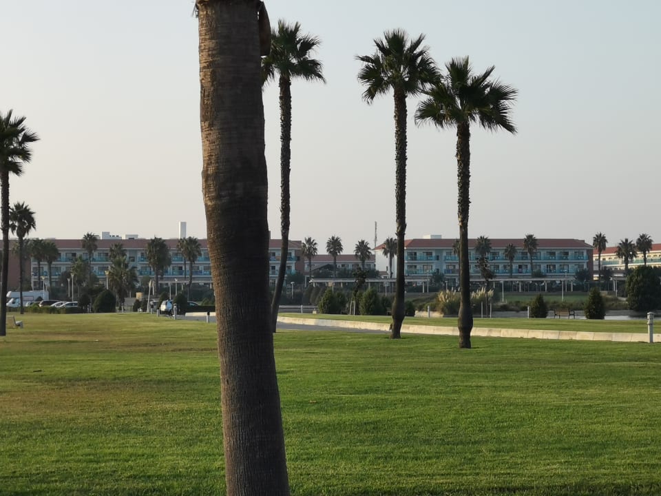 Gartenanlage Hotel Best Costa Ballena