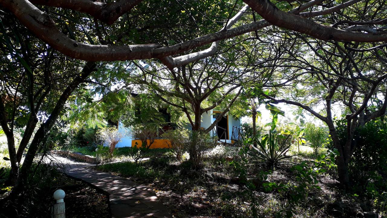 Gartenanlage Spice Island Hotel & Resort