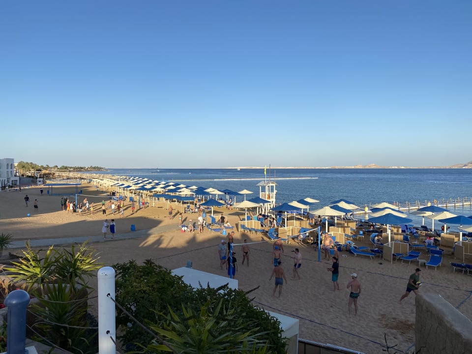 Strand Pickalbatros Palace Resort