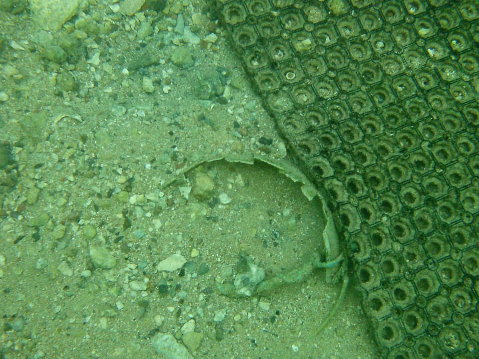 Strand Pickalbatros Citadel Resort