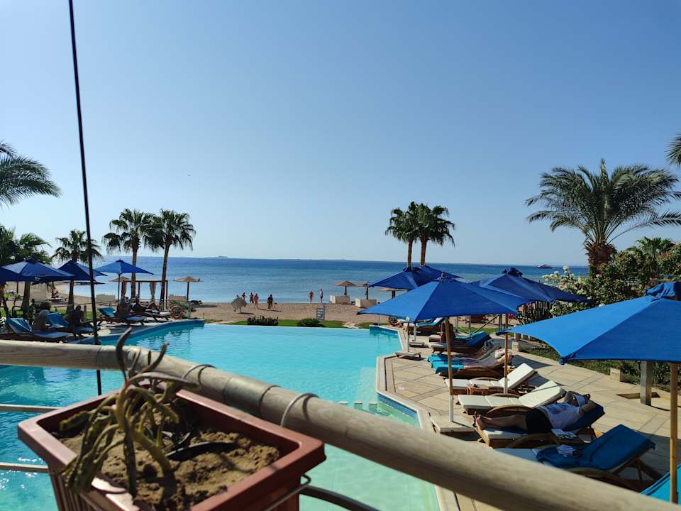 Pool Shams Prestige Abu Soma-Adults Only