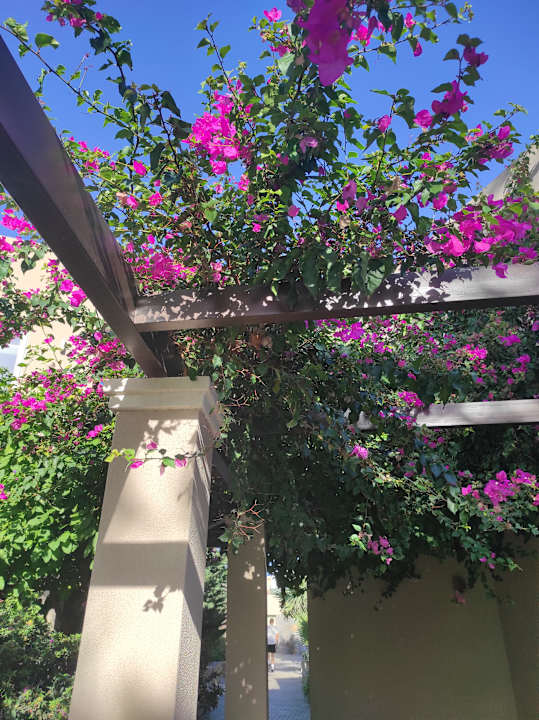 Gartenanlage Nana Golden Beach