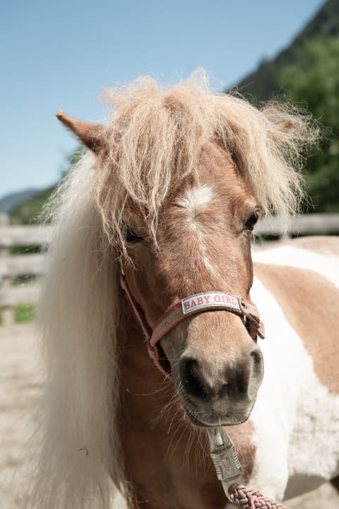 Sonstiges Hotel Auhof