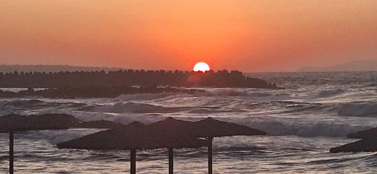 Ausblick allsun Hotel Carolina Mare